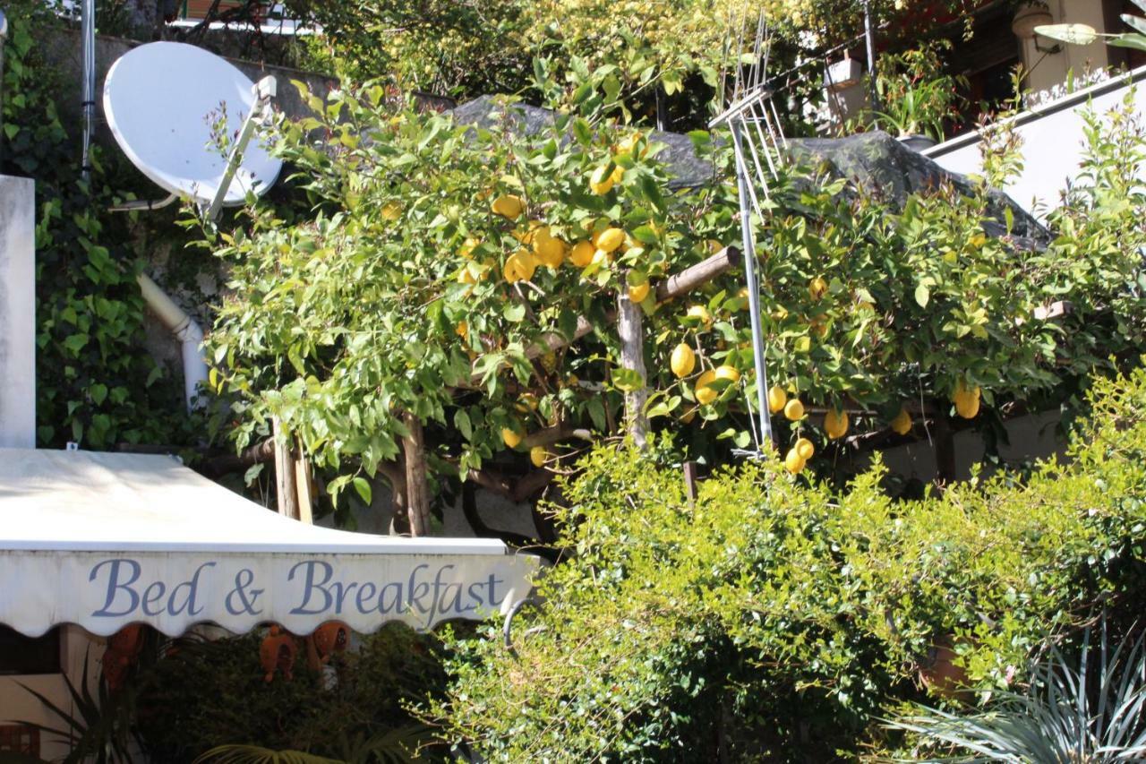 Bed & Breakfast Casa Anna Rita Vietri エクステリア 写真